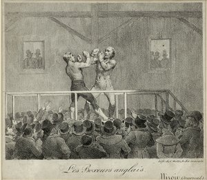 Englische Boxer