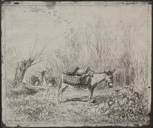 Ein Esel auf dem Feld von Charles Francois Daubigny