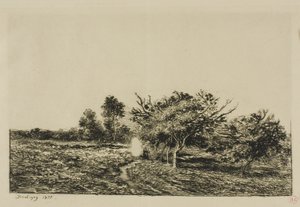 Apfelbäume in Auvers von Charles Francois Daubigny