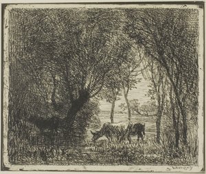 Kühe im Wald