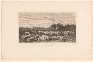 Landschaft mit Schafherde von Charles Francois Daubigny