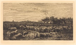 Großer Schafstall von Charles Francois Daubigny