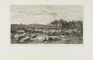 Wiese mit Schafen von Charles Francois Daubigny