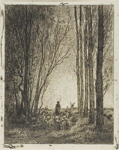 Rückkehr der Herde