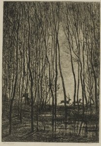 Hirsche im Wald von Charles Francois Daubigny