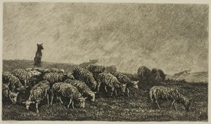 Die Wache des Hundes von Charles Francois Daubigny