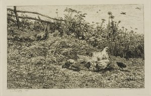 Die Henne und ihre Küken von Charles Francois Daubigny
