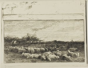 Der große Schafstall von Charles Francois Daubigny