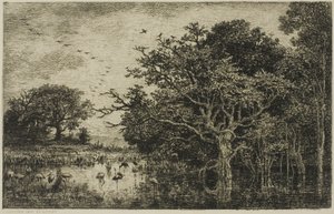 Das Moor mit Störchen