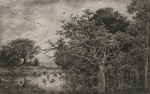 Das Moor mit Störchen, um 1851