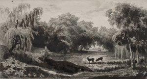 Der Teich mit Hirschen von Charles Francois Daubigny