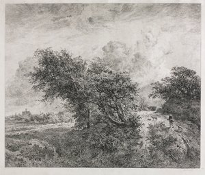 Das Dickicht, 1855 von Charles Francois Daubigny