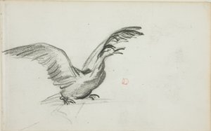 Wildes Duett (recto); Zwei stehende nackte weibliche Figuren in Nischen (verso) von Charles Francois Daubigny