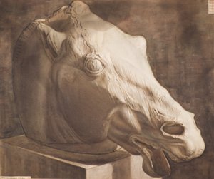 Studie - Pferdekopf vom Parthenon von Charles Gustav Louis Phillips