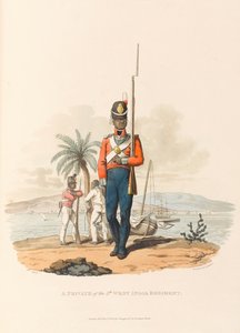 Ein Soldat des 5. Westindischen Regiments von Charles Hamilton (after) Smith