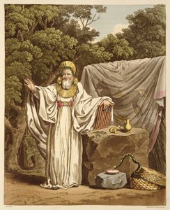 Ein Erz-Druide in seiner richterlichen Tracht, graviert von Robert Havell (1769-1832) 1815 von Charles Hamilton Smith