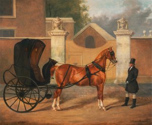 Herrenwagen: Ein Cabriolet