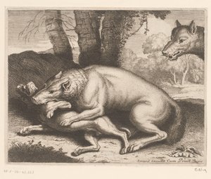Hund von einem Wolf angegriffen von Charles II Errard (attributed to)