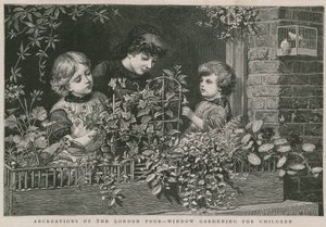 Freizeitbeschäftigungen der Londoner Armen: Fenster-Gartenarbeit für Kinder von Charles J. Staniland