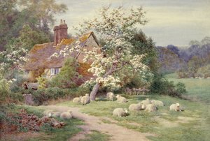 Schafe vor einem Häuschen im Frühling von Charles James Adams