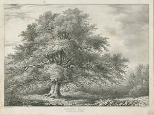 Lichfield - ["Dr. Johnsons"] Weidenbaum