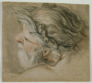 Kopf eines Meeresgottes von Charles Joseph Natoire