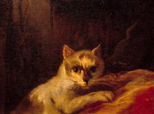 Mademoiselle de Charolais (Detail) von Charles Joseph Natoire
