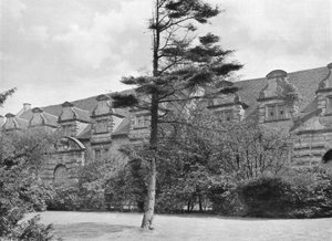 Die Reitschule