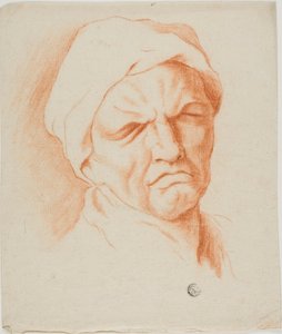 Kopf eines alten Mannes von Charles Le Brun