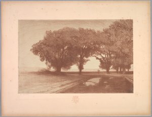 Suite von Landschaften: Landschaft, Platte 8, Remarque, Stiefmütterchen von Charles Marie Dulac