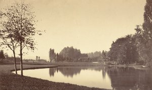 Bois de Boulogne, 1858 von Charles Marville