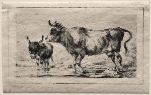 Kuh und Esel von Charles Meryon