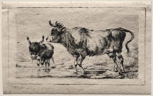 Kuh und Esel, 1849 von Charles Meryon