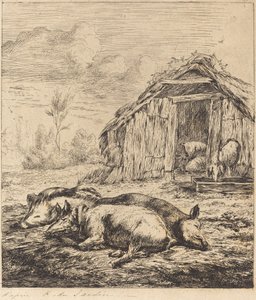 Die drei Schweine liegen vor dem Stall