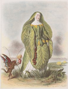 Seerose, aus Les Fleurs Animées, 1847