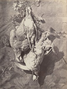 Stillleben mit Wildvögeln, 1859 von Charles Nègre