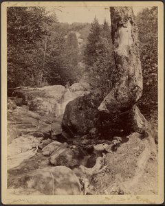 [Wasserfall] von Charles P. Hibbard