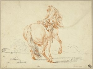 Reiterloses Pferd von Charles Parrocel