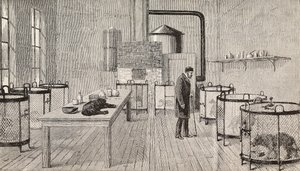 Hunde in Käfigen im Labor von Louis Pasteur (1822-1895), französischer Chemiker und Biologe, Paris, Frankreich, Gravur aus L