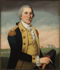 George Washington in Princeton