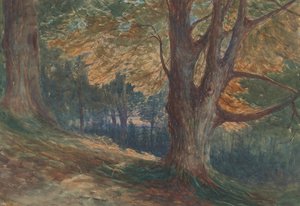Bäume auf einem Hügel in einer bewaldeten Landschaft von Charles Reginald Aston