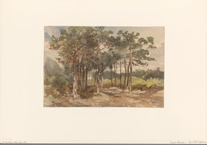 Baumgruppe im Wald bei Driebergen von Charles Rochussen