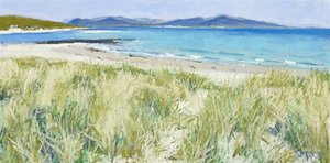 Strandgräser, Berneray, 2011 von Charles Simpson