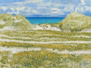 Blick auf Harris, 2014 von Charles Simpson