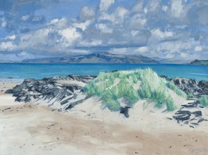 Felsen & Gräser, Iona, 2013 von Charles Simpson