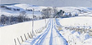 Schnee, Newhall, 2010 von Charles Simpson