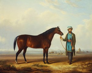 Ein arabischer Hengst, gehalten von einem Stallburschen, mit einem Lager im Hintergrund von Charles Towne