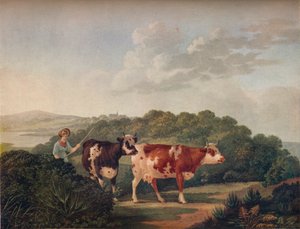 Englische Landschaft mit Shorthorn-Rindern, spätes 18. - frühes 19. Jahrhundert, 1930 von Charles Towne