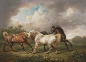Drei Pferde in einer stürmischen Landschaft von Charles Towne
