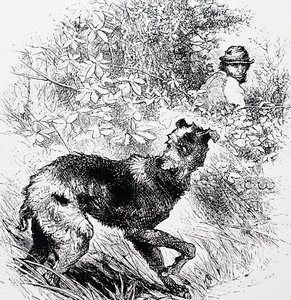 Ein Wilderer mit seinem Lurcher von Charles Whymper